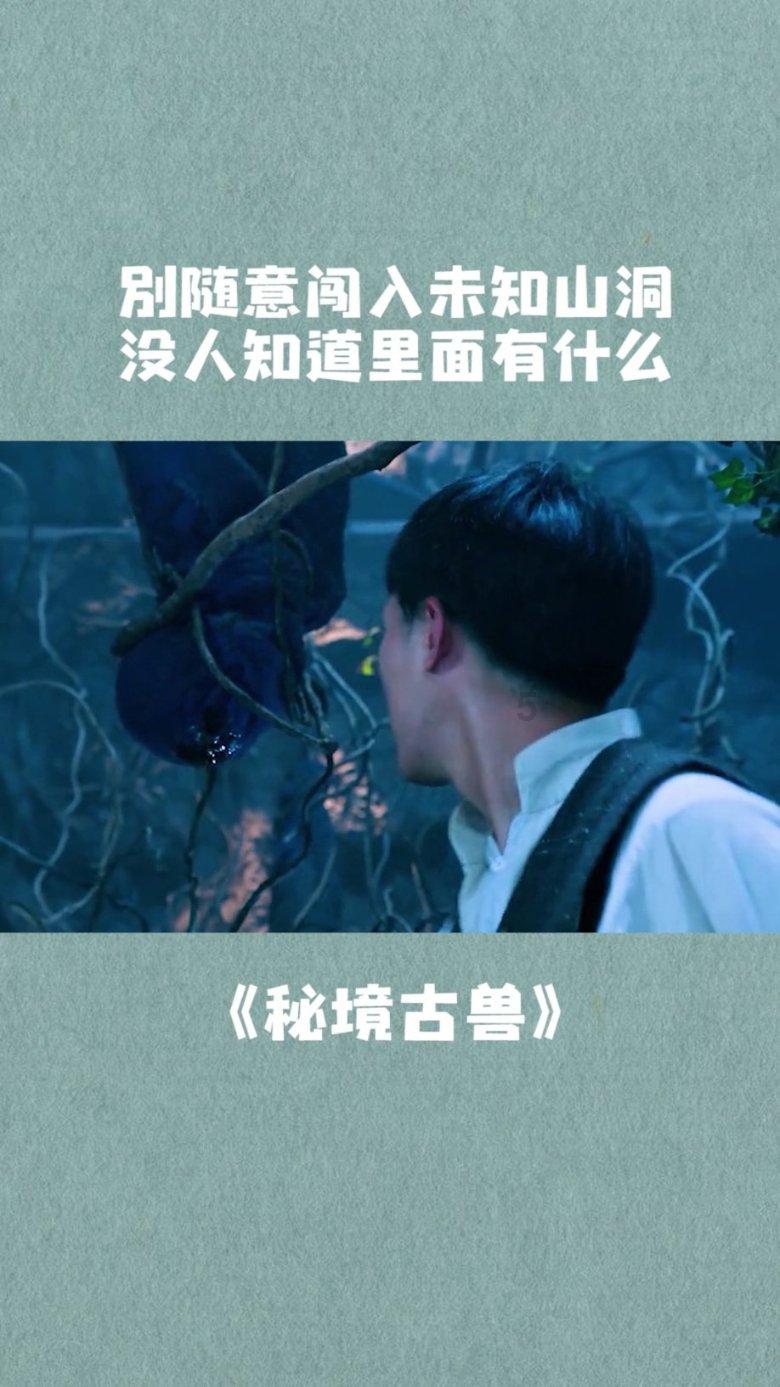 虫虫助手下载
